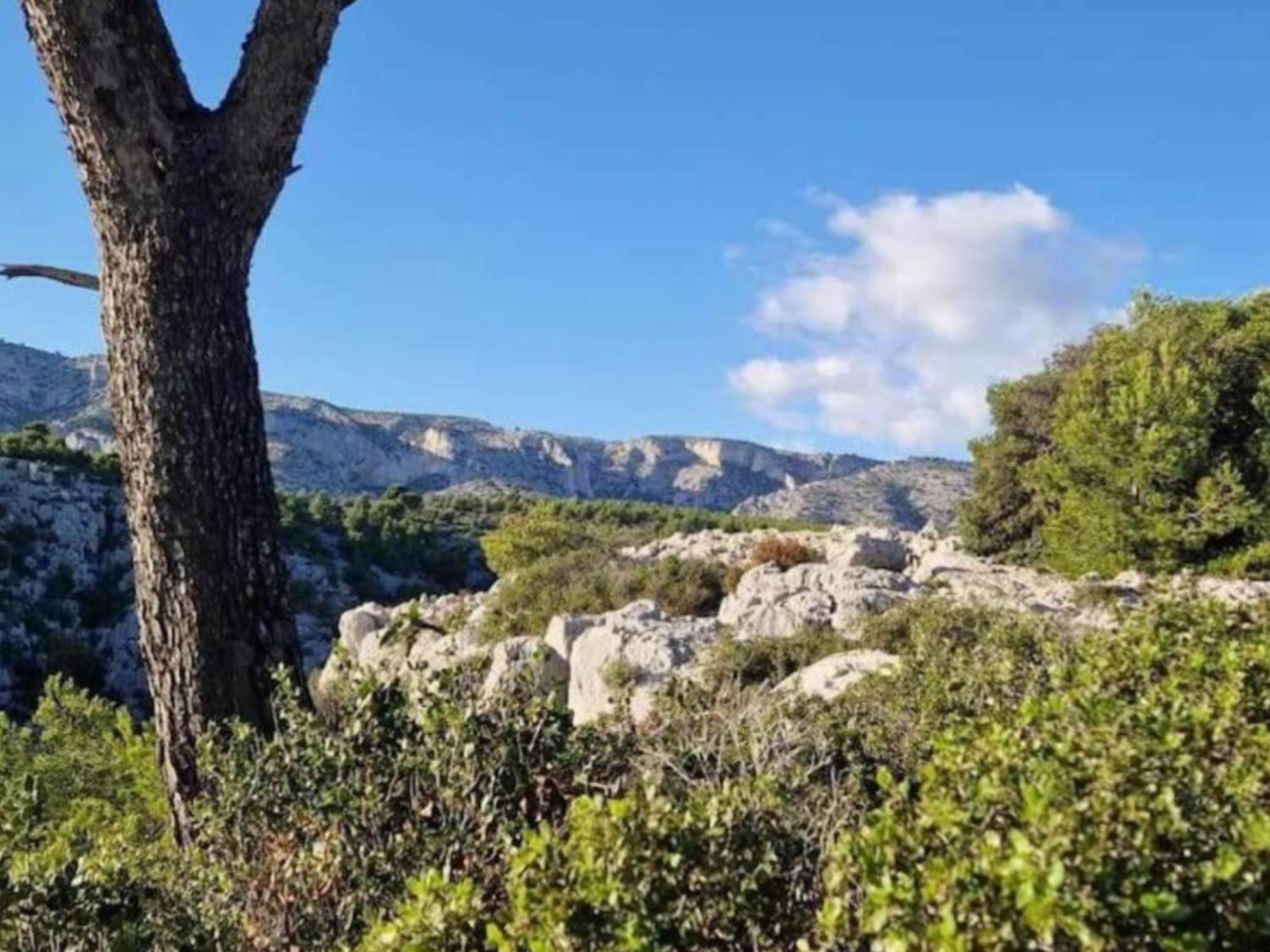 Apartament Le Perchoir De Cassis Cocoon Zewnętrze zdjęcie